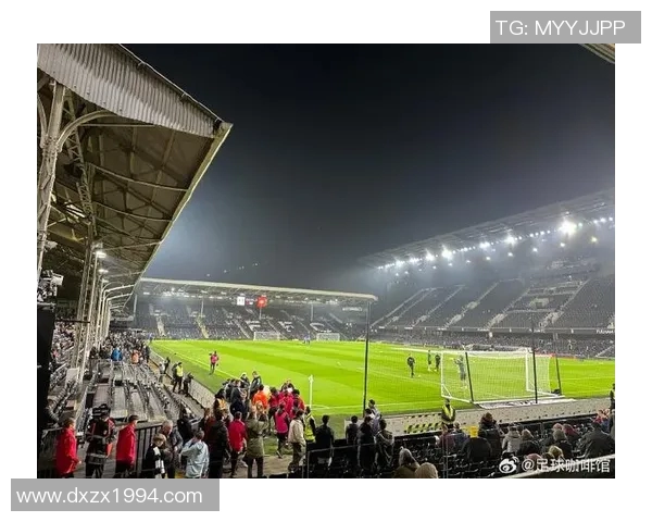 富勒姆足球俱乐部的辉煌历程与未来展望：从英超到欧洲赛场的征程